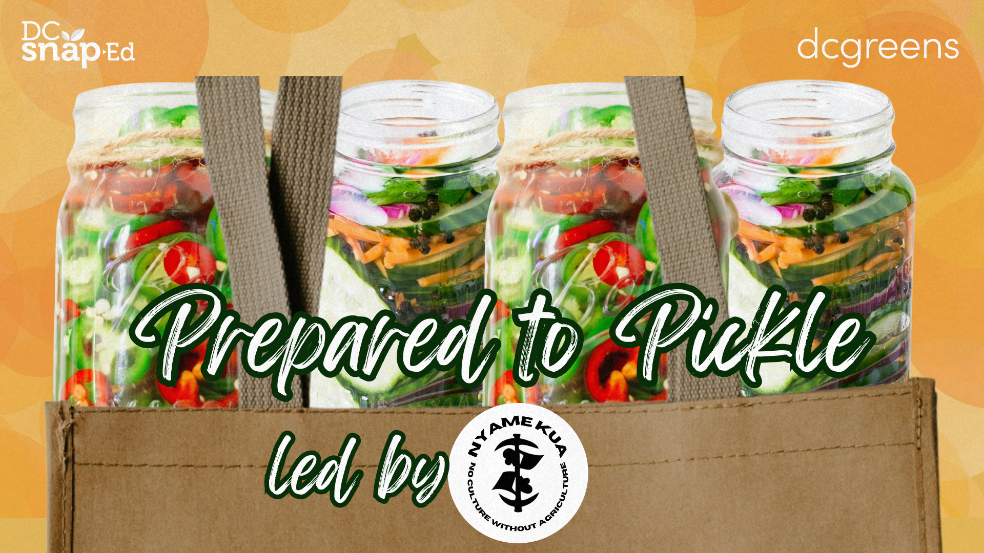 Pickle jars in a grocery bag